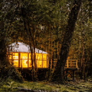 YURTA "Amor sin fondo"